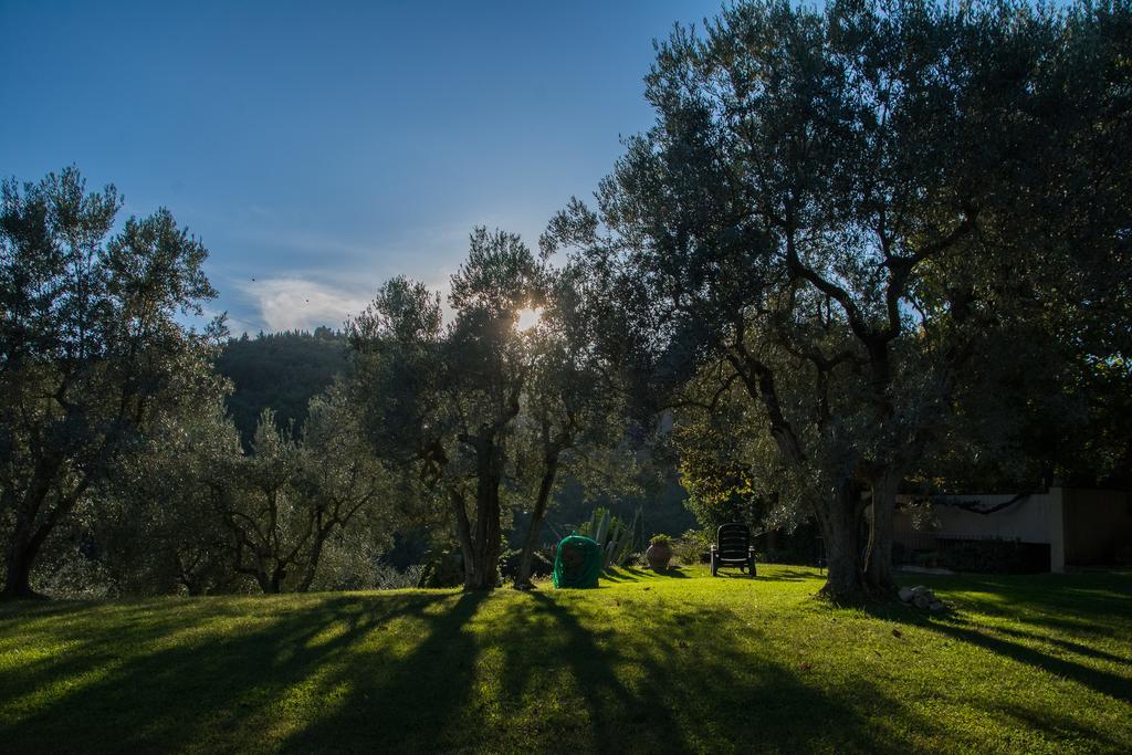 La Sassaia Vila Carmignano Exterior foto